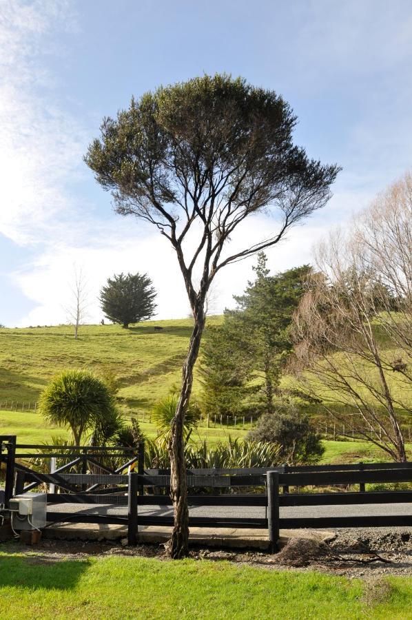 Matapouri & Tutukaka Spectacular Coastal Views- Aroha Luxury Guest Suite Exterior photo