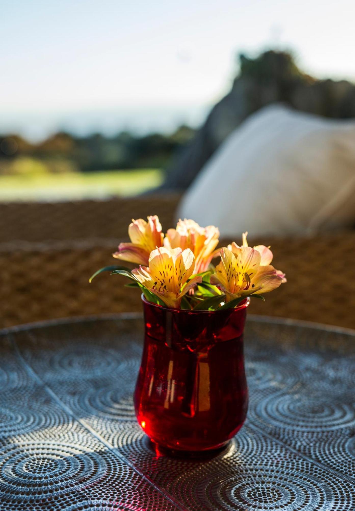 Matapouri & Tutukaka Spectacular Coastal Views- Aroha Luxury Guest Suite Exterior photo